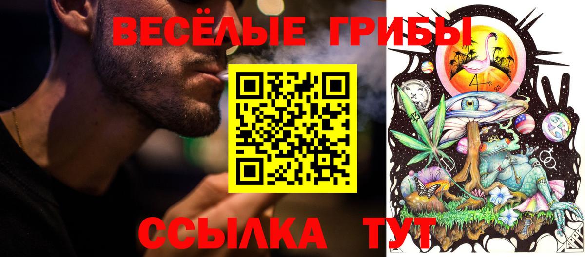 Псилоцибиновые грибы Cubensis Кимры